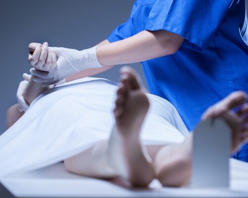 Serviciile Sanitare